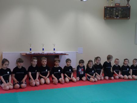 Mistrzostwa Przedszkolaków w karate